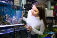 Намерете Adaptil 16 от Za kucheto Намерете Adaptil 16