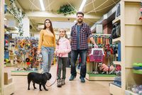Информация за Adaptil 17 от Za kucheto Информация за Adaptil 17
