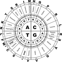 Изключително добри Хранителни добавки 36 от SNC Изключително добри Хранителни добавки 36