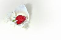 Огромно разнообразие от млечни продукти 26 от Lactima Огромно разнообразие от млечни продукти 26