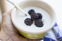 Разнообразие от млечни продукти 32 от Lactima Разнообразие от млечни продукти 32