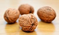 Изключително качествени л-карнитин 24 от JK Fitness Изключително качествени л-карнитин 24