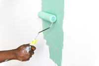 боядисване на стени - 51765 - голямо разнообразие от артикули