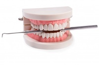зъбен мост - 96847 - разгледайте нашите предложения за