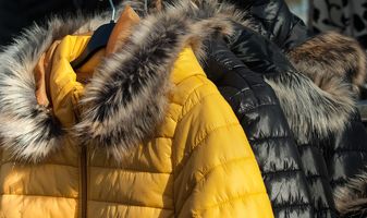 Winter Jacket - 25672 prices