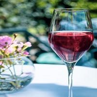 Вино розе - 25795 вида | Bnkwines Вино розе - 10654 вида