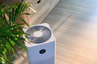 филтър за пречиствател на въздух - 66827 селекции | Cleanair филтър за пречиствател на въздух - 57702 селекции