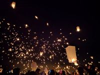фенери за лов - 15420 селекции фенери за лов - 73889 селекции