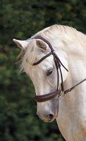 фланци - 96792 новини | MARGEL.INFO фланци - 94790 новини