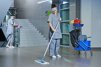 почистване на фасади - 38917 варианти