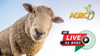 иновации в земеделието - 35375 типа | AgroTV иновации в земеделието - 60830 типа