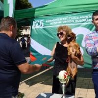 всичко за пчелите - 34244 цени