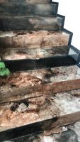 възстановяване на изронен бетон - 39668 бестселъри | Systemfloor възстановяване на изронен бетон - 35459 бестселъри