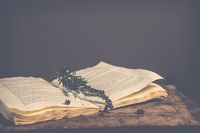 разделител за книга щипка - 53397 бестселъри разделител за книга щипка - 28362 бестселъри