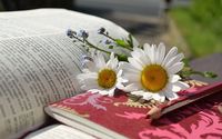 разделител за книга щипка - 77998 предложения разделител за книга щипка - 80231 предложения